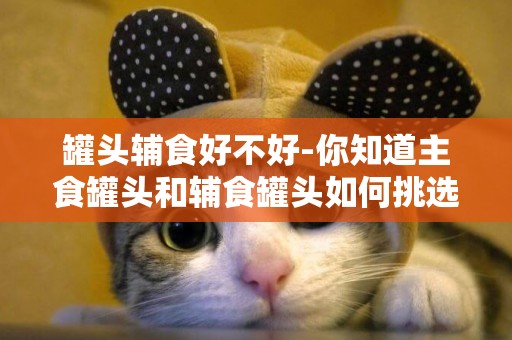 罐頭輔食好不好-你知道主食罐頭和輔食罐頭如何挑選嗎