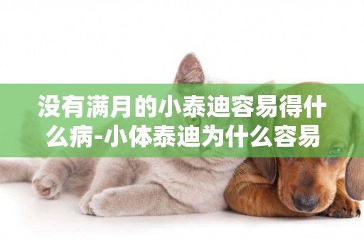 沒有滿月的小泰迪容易得什么病-小體泰迪為什么容易死