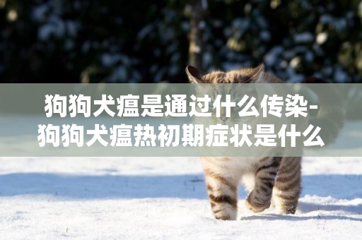 狗狗犬瘟是通過什么傳染-狗狗犬瘟熱初期癥狀是什么