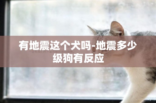 有地震這個犬嗎-地震多少級狗有反應 有地震這個犬嗎-地震多少級狗有反應