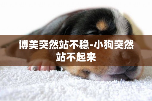 博美突然站不穩-小狗突然站不起來