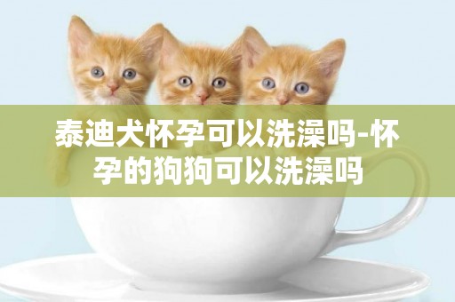 泰迪犬懷孕可以洗澡嗎-懷孕的狗狗可以洗澡嗎