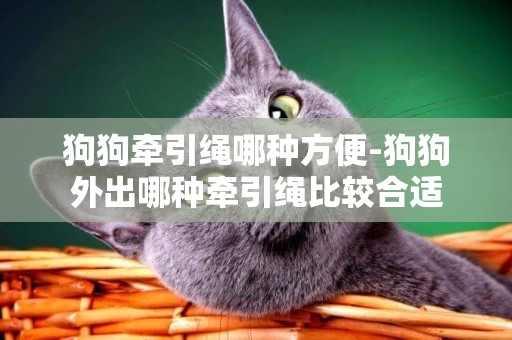 狗狗牽引繩哪種方便-狗狗外出哪種牽引繩比較合適