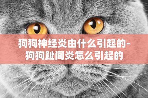 狗狗神經炎由什么引起的-狗狗趾間炎怎么引起的