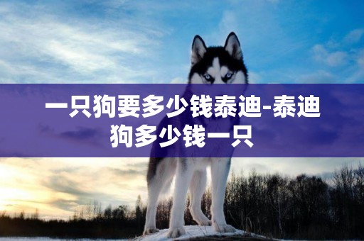 一只狗要多少錢泰迪-泰迪狗多少錢一只