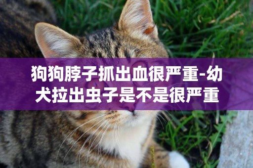 狗狗脖子抓出血很嚴重-幼犬拉出蟲子是不是很嚴重