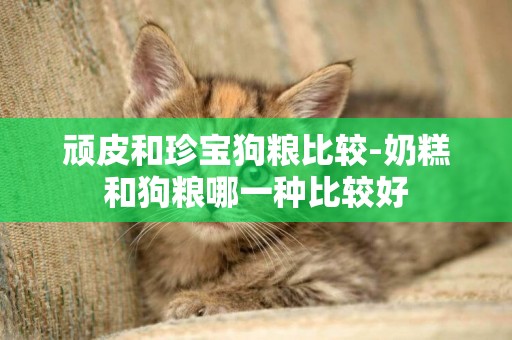 頑皮和珍寶狗糧比較-奶糕和狗糧哪一種比較好