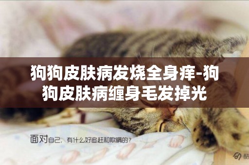 狗狗皮膚病發燒全身癢-狗狗皮膚病纏身毛發掉光