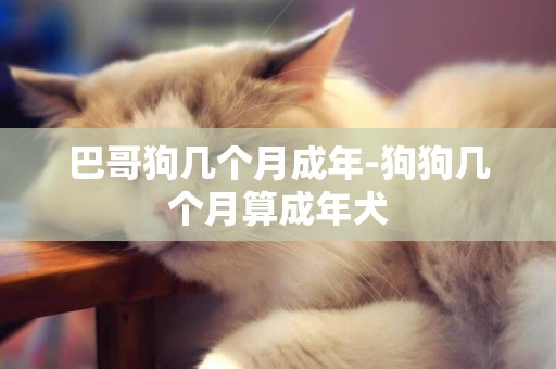 巴哥狗幾個月成年-狗狗幾個月算成年犬