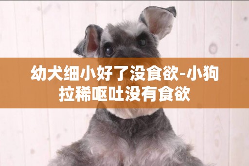 幼犬細小好了沒食欲-小狗拉稀嘔吐沒有食欲