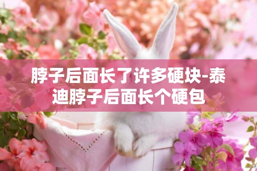 脖子后面長了許多硬塊-泰迪脖子后面長個硬包