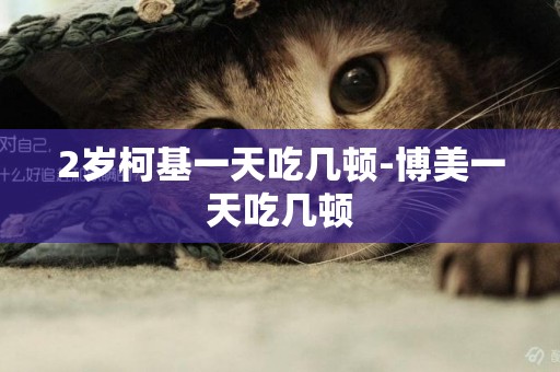 2歲柯基一天吃幾頓-博美一天吃幾頓
