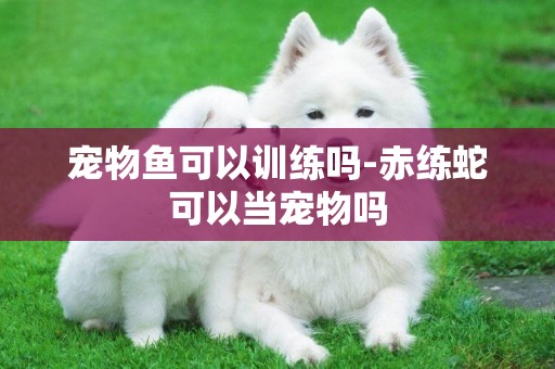 寵物魚可以訓練嗎-赤練蛇可以當寵物嗎