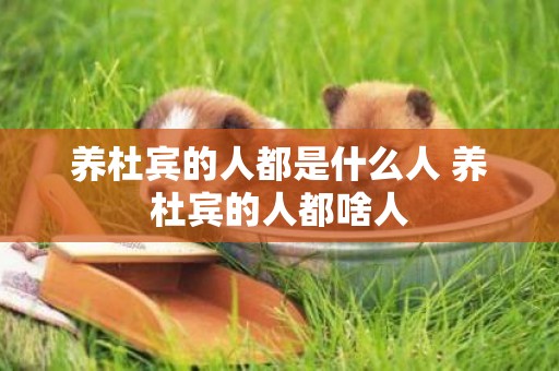 養杜賓的人都是什么人 養杜賓的人都啥人
