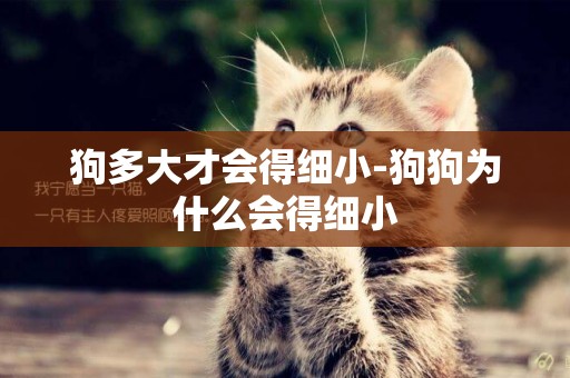 狗多大才會得細小-狗狗為什么會得細小