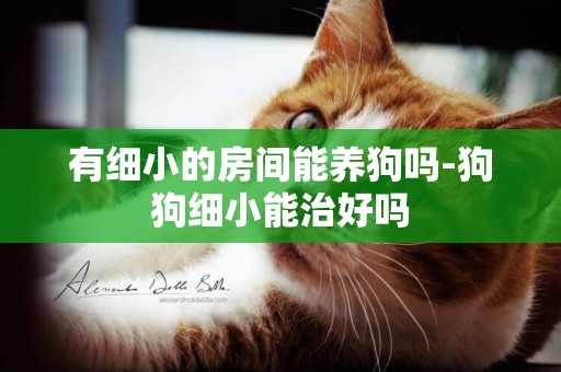 有細小的房間能養狗嗎-狗狗細小能治好嗎