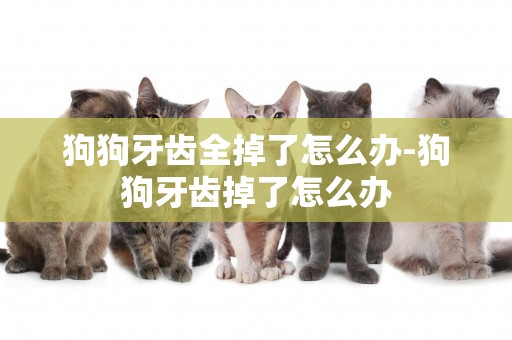 狗狗牙齒全掉了怎么辦-狗狗牙齒掉了怎么辦