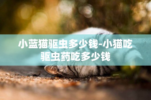 小藍貓驅蟲多少錢-小貓吃驅蟲藥吃多少錢