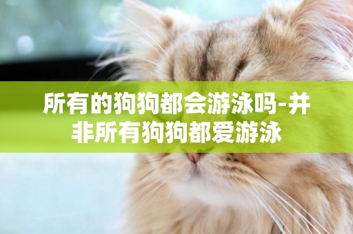 所有的狗狗都會游泳嗎-并非所有狗狗都愛游泳