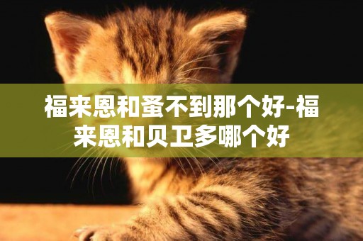 福來恩和蚤不到那個好-福來恩和貝衛多哪個好
