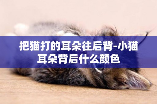 把貓打的耳朵往后背-小貓耳朵背后什么顏色