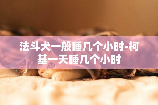 法斗犬一般睡幾個小時-柯基一天睡幾個小時