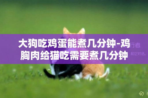 大狗吃雞蛋能煮幾分鐘-雞胸肉給貓吃需要煮幾分鐘