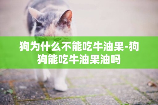 狗為什么不能吃牛油果-狗狗能吃牛油果油嗎