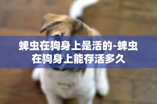蜱蟲在狗身上是活的-蜱蟲在狗身上能存活多久