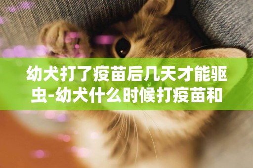 幼犬打了疫苗后幾天才能驅蟲-幼犬什么時候打疫苗和驅蟲藥