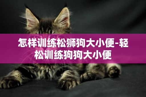 怎樣訓練松獅狗大小便-輕松訓練狗狗大小便
