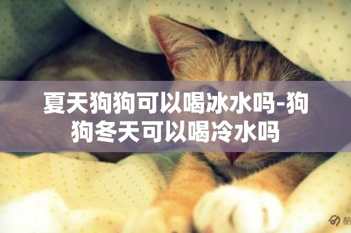 夏天狗狗可以喝冰水嗎-狗狗冬天可以喝冷水嗎