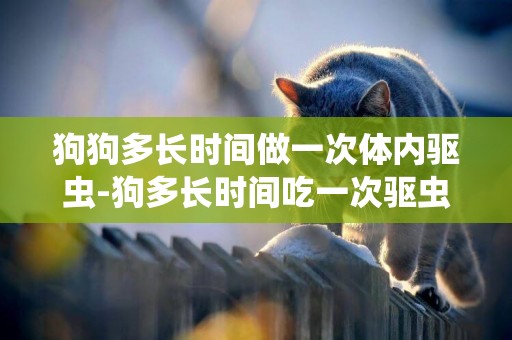 狗狗多長時間做一次體內驅蟲-狗多長時間吃一次驅蟲藥