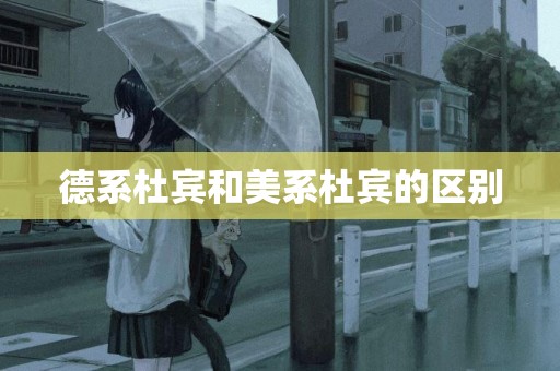 德系杜賓和美系杜賓的區別