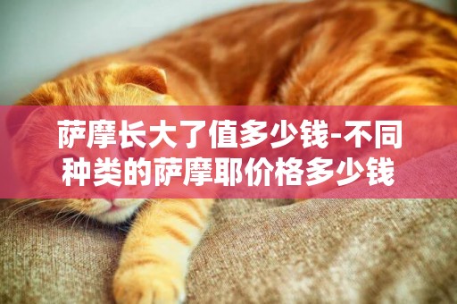 薩摩長大了值多少錢-不同種類的薩摩耶價格多少錢