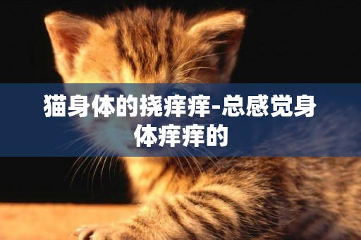 貓身體的撓癢癢-總感覺身體癢癢的