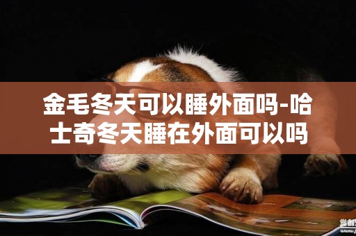 金毛冬天可以睡外面嗎-哈士奇冬天睡在外面可以嗎