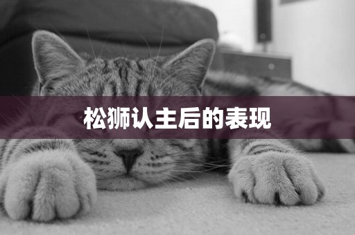 松獅認主后的表現