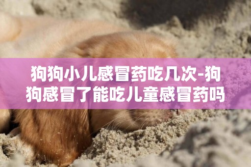 狗狗小兒感冒藥吃幾次-狗狗感冒了能吃兒童感冒藥嗎