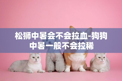松獅中暑會不會拉血-狗狗中暑一般不會拉稀
