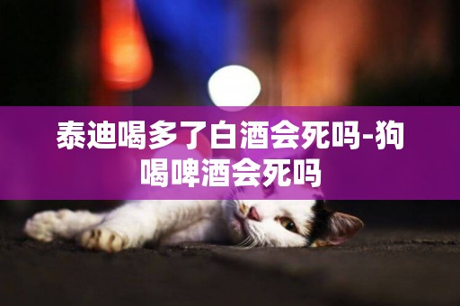 泰迪喝多了白酒會死嗎-狗喝啤酒會死嗎