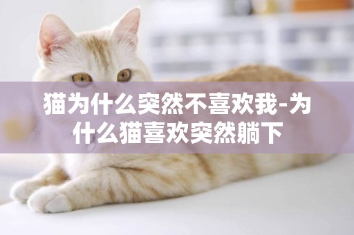 貓為什么突然不喜歡我-為什么貓喜歡突然躺下
