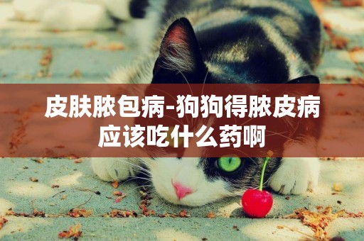 皮膚膿包病-狗狗得膿皮病應該吃什么藥啊