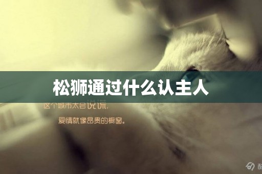 松獅通過什么認主人