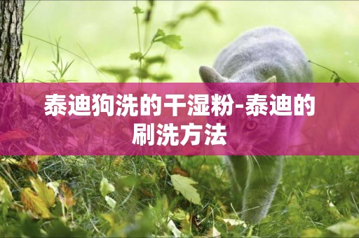 泰迪狗洗的干濕粉-泰迪的刷洗方法