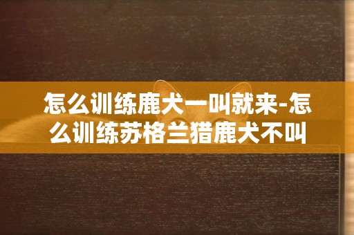 怎么訓練鹿犬一叫就來-怎么訓練蘇格蘭獵鹿犬不叫