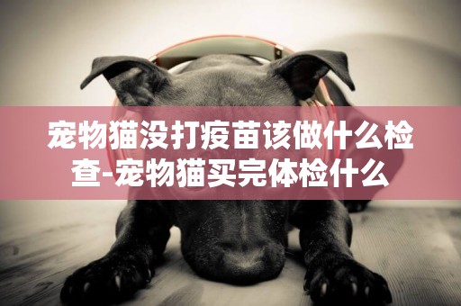 寵物貓沒打疫苗該做什么檢查-寵物貓買完體檢什么