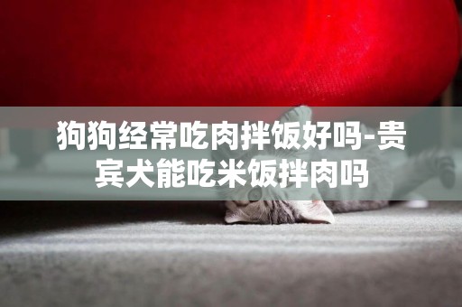 狗狗經常吃肉拌飯好嗎-貴賓犬能吃米飯拌肉嗎
