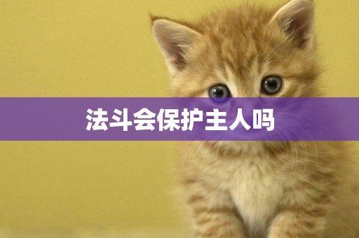 法斗會保護主人嗎