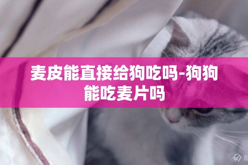 麥皮能直接給狗吃嗎-狗狗能吃麥片嗎